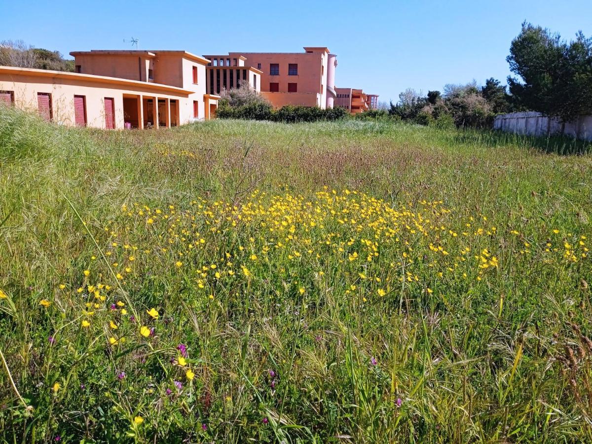Accesso Diretto Sul Mare Maredilucecala Apartamento Calambrone Exterior foto
