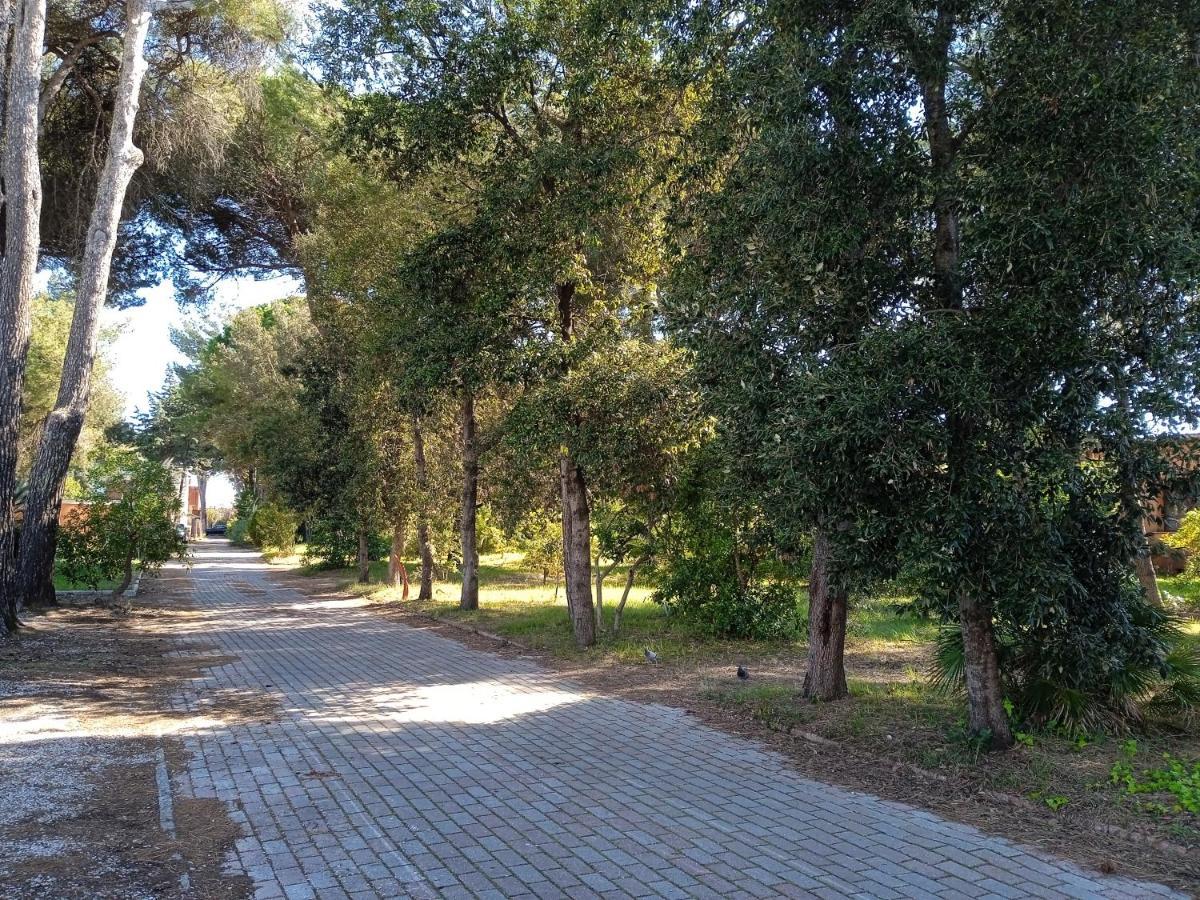 Accesso Diretto Sul Mare Maredilucecala Apartamento Calambrone Exterior foto